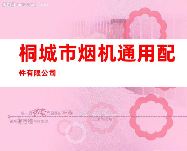 桐城市烟机通用配件有限公司